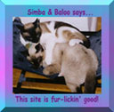 Simbaloo Site Award - The 3 Mouse-Kitteers